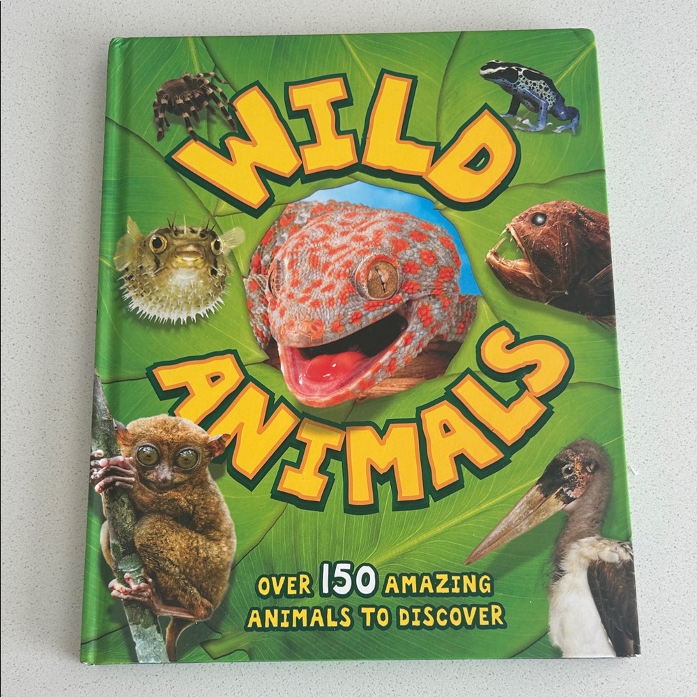 Wild Animals Book with Colorful Cover